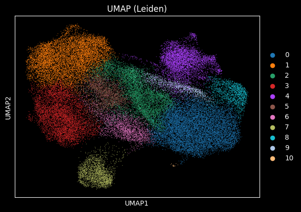 ../_images/b794b06b5a8b0b51d92e1923c5e6c7b050e476480a81111b56dd302c2b100a7d.png